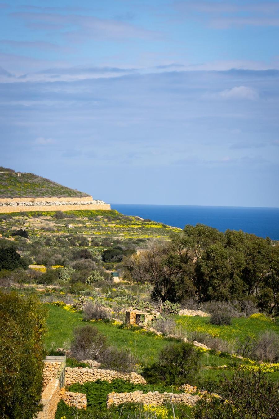 Il Figolla B&B Xagħra Exterior foto